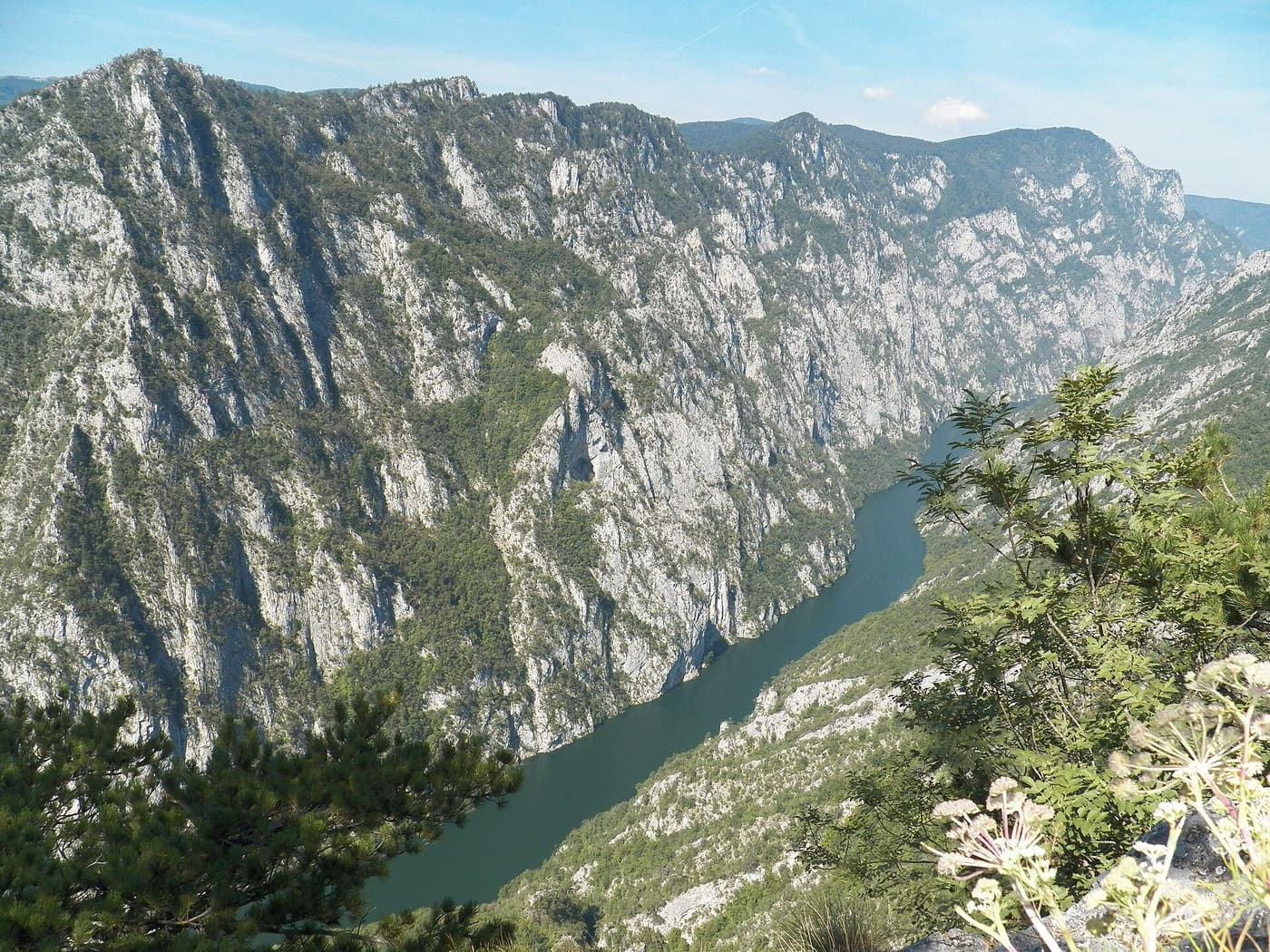 Zelena reka Drina između šumovitih brda