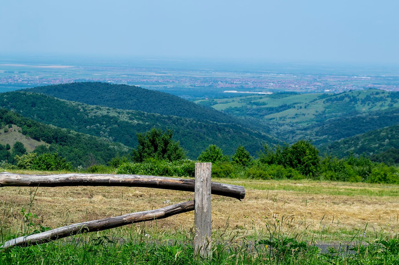 Šumovit pejzaž Fruške gore