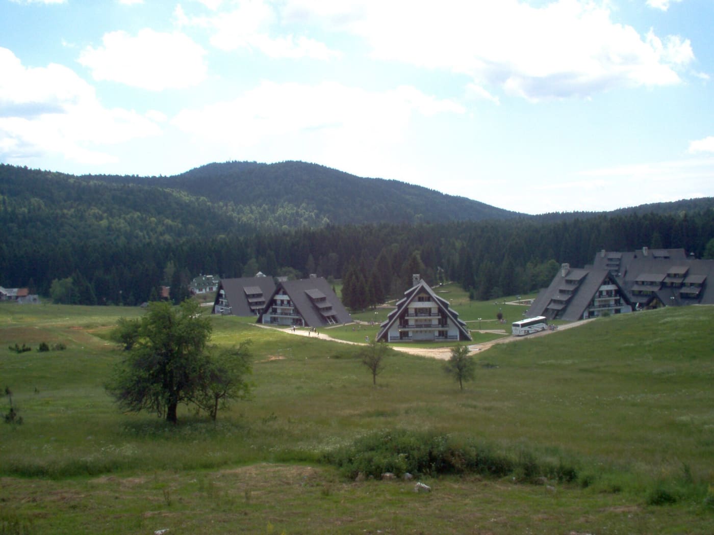 Zelene livade i šume Mitrovca na Tari
